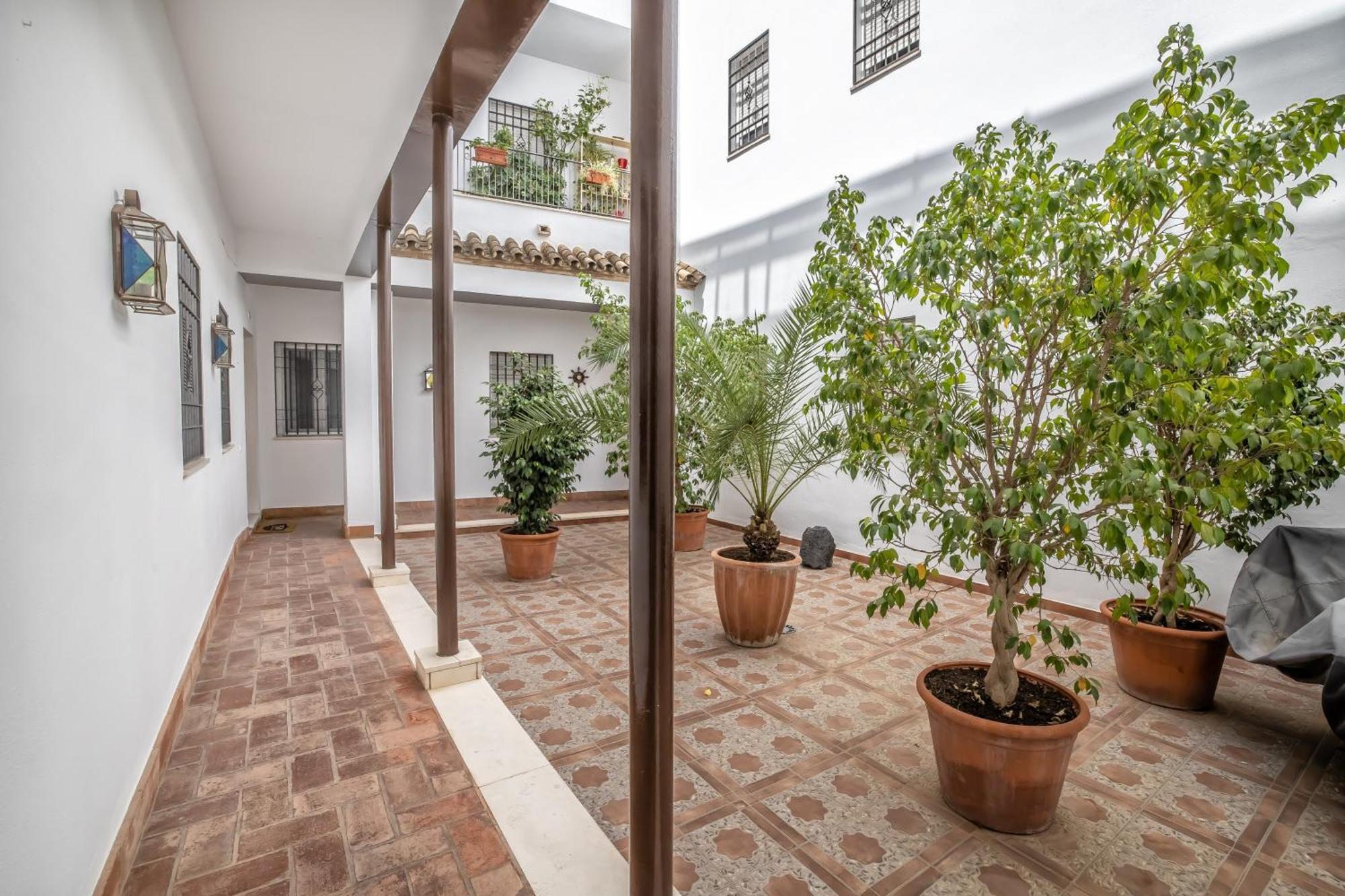 El Oasis De San Pedro Lejlighed Córdoba Eksteriør billede
